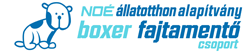 Boxerments logo